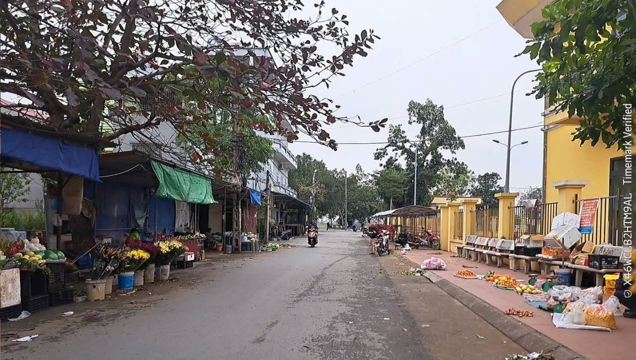 Đất Tam Sơn 40m² giá 1 tỷ - Cơ hội vàng cho nhà đầu tư!