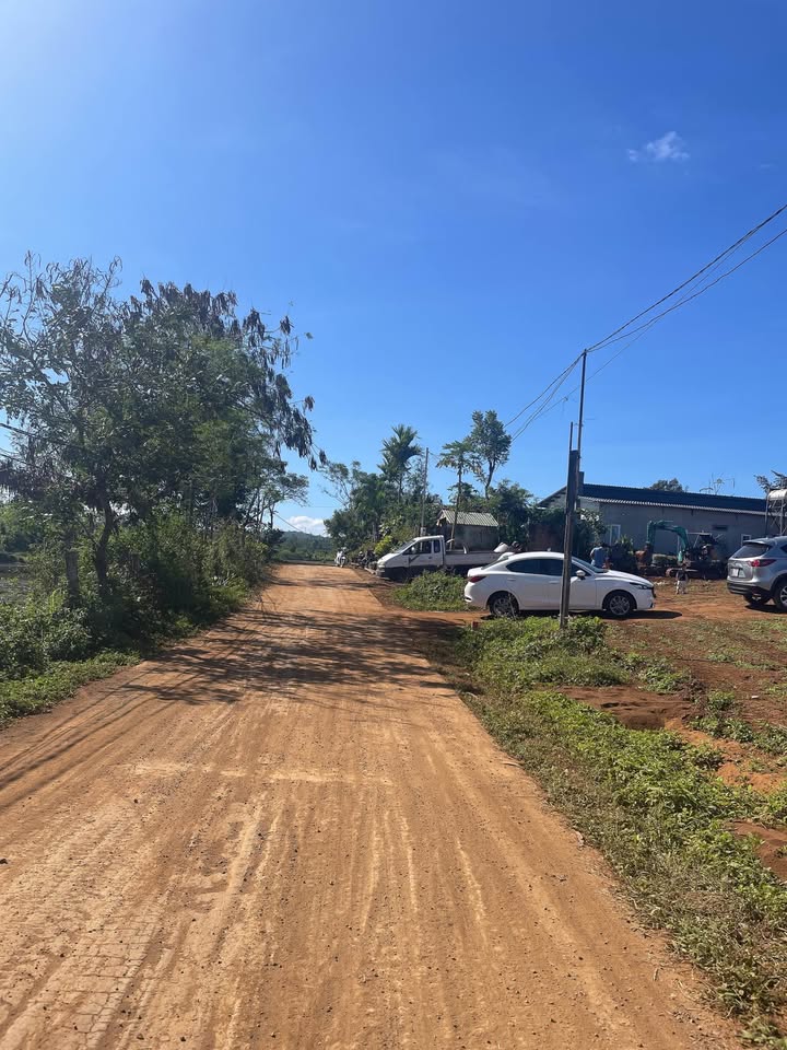 Đất nền Lý Chính Thắng Pleiku 250m² giá 5xx triệu - Phù hợp làm nhà vườn nghỉ dưỡng!