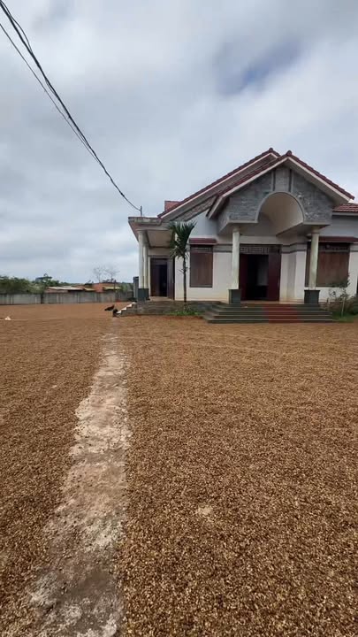 Đất nền Thuận Hạnh Đắk Song 30.600m² - Cơ hội đầu tư hấp dẫn!