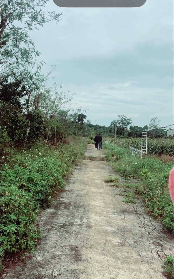 Đất nền 2400m² tại xã Ea Drông, Buôn Hồ chỉ 1.216 tỷ - Cơ hội đầu tư sinh lời!