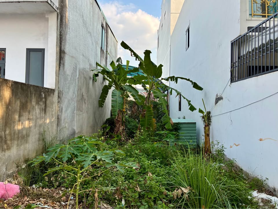 Lô đất KDC Lavender Vĩnh Cửu 100m² giá 2 tỷ - Sổ hồng riêng, thổ cư 100%!