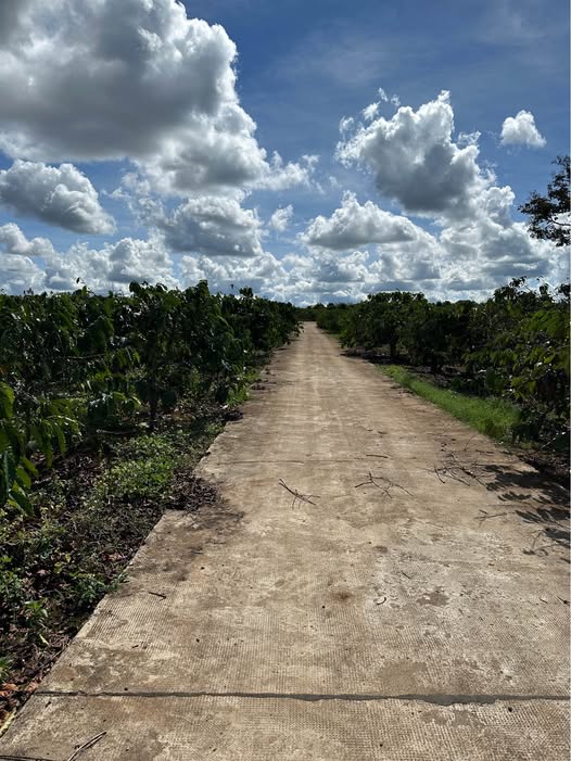 Đất nền Biển Hồ Pleiku 1080m² giá 23 triệu/m² - Đầu tư sinh lời ngay!