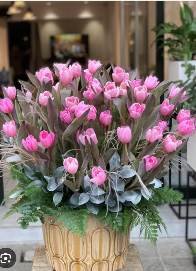 Đất nền Thạnh Phú, Mỹ Xuyên 2100m² giá chỉ 500 triệu - Cơ hội đầu tư không thể bỏ lỡ!