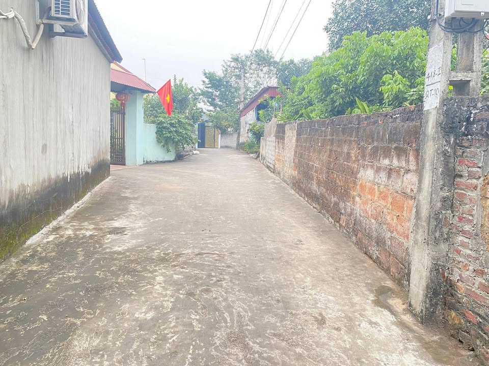 Đất thổ cư 100m² tại Thanh Lương, Lạng Giang - Giá cực tốt chỉ 9xx triệu!