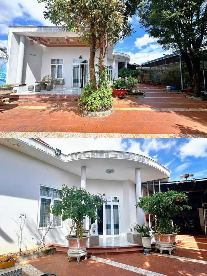 Nhà riêng Thắng Lợi, TP. Pleiku 150m² giá 3.85 tỷ - Chính chủ bán gấp!