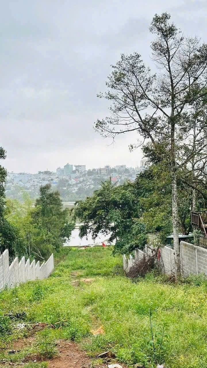 Đất mặt tiền Ngô Thì Nhậm, Pleiku 1433m² giá 5.2 tỷ - Cơ hội đầu tư tuyệt vời!