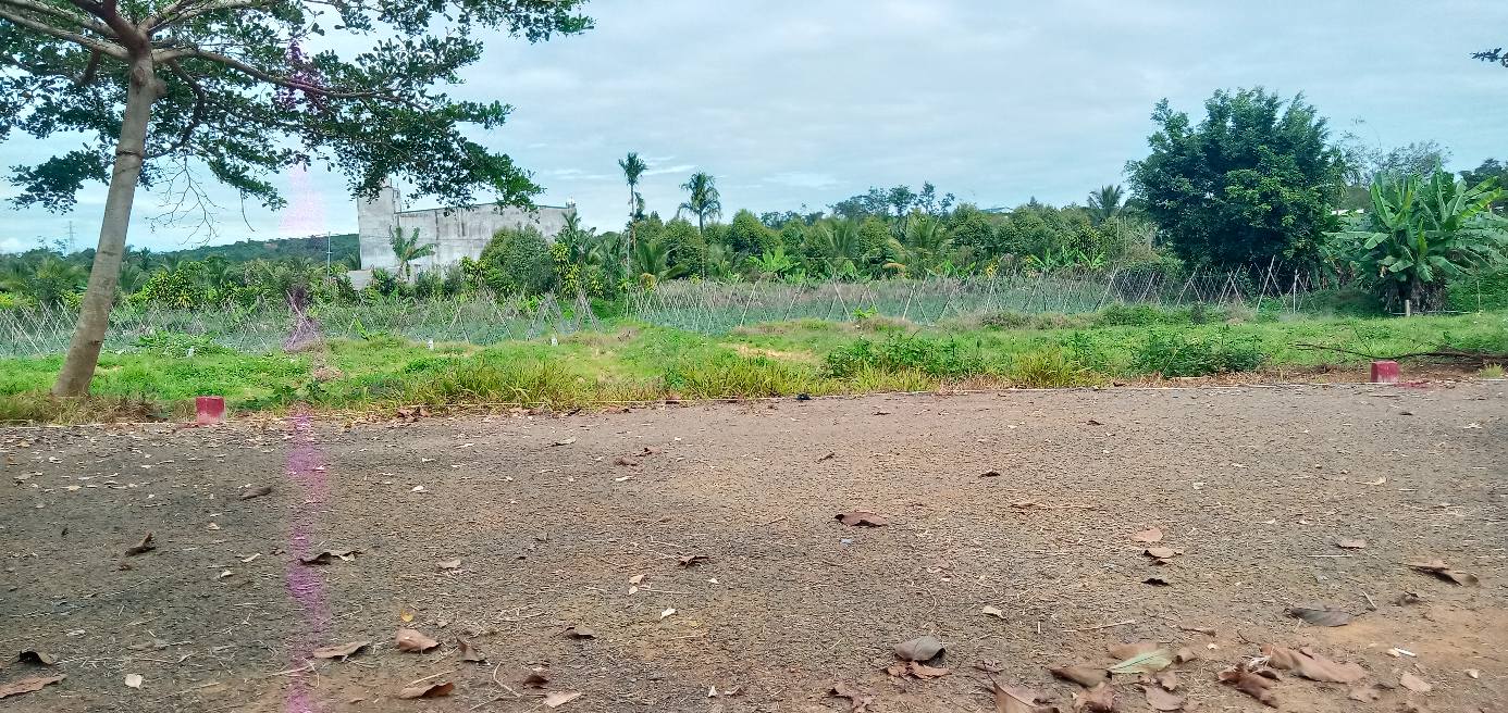 Đất thổ cư Bảo Lộc 180m² giá 590 triệu - Cơ hội đầu tư tuyệt vời!