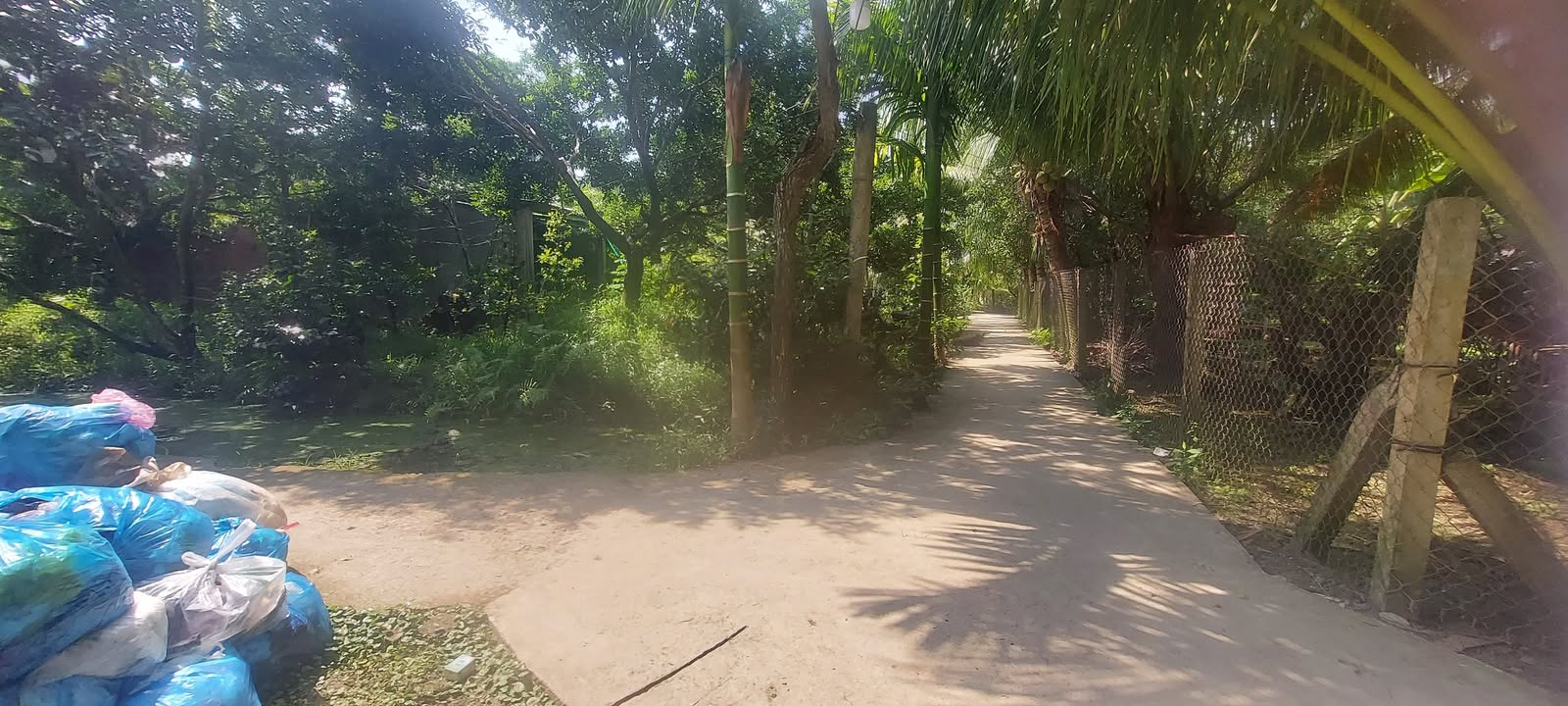 Đất vườn Kim Sơn, Tháp Mười 1949m² giá 730 triệu - Đầu tư sinh lời hấp dẫn!