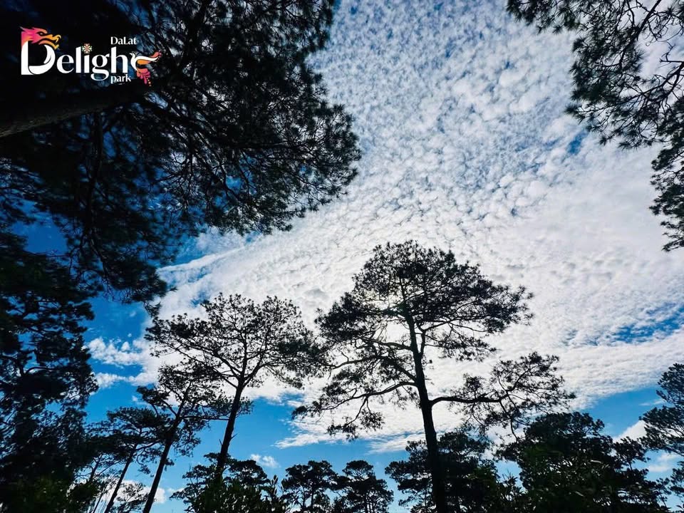 Đất nền phường Mỹ Lâm, Tuyên Quang 100m² giá 600 triệu - Đón đầu cao tốc Tuyên Quang - Hà Giang!