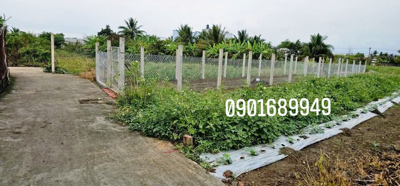 Đất nền Gò Công Tiền Giang 520m² giá 880 triệu - Đường ô tô vào tận nơi!