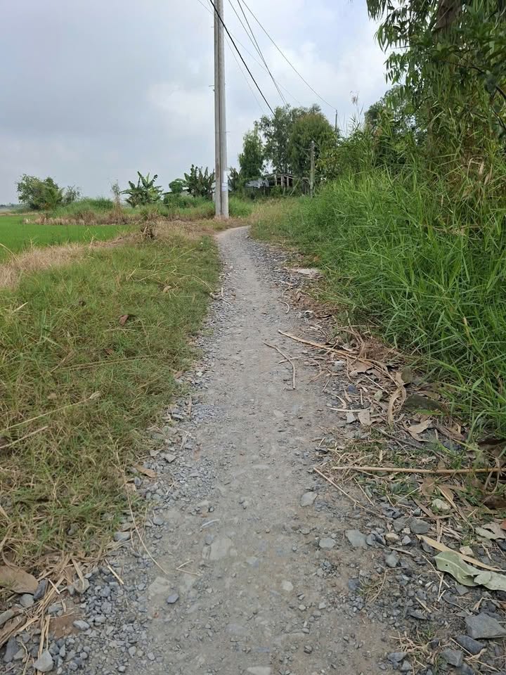 Đất nền 459m² xã Phước Trung, Gò Công Đông, Tiền Giang giá 250 triệu - Lô đất view kênh đẹp!