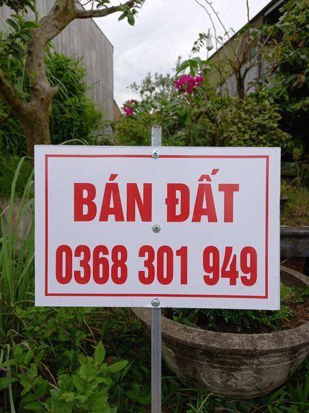 Đất nền dự án Gò Cát Ông Triều - Phổ Cường, Đức Phổ 187m² - Giá cực tốt, pháp lý an toàn!