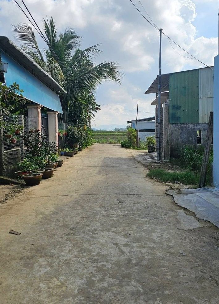 Đất nền Nghĩa Dõng 120m² giá 700 triệu - Đường ô tô thông thoáng, dân cư đông đúc!