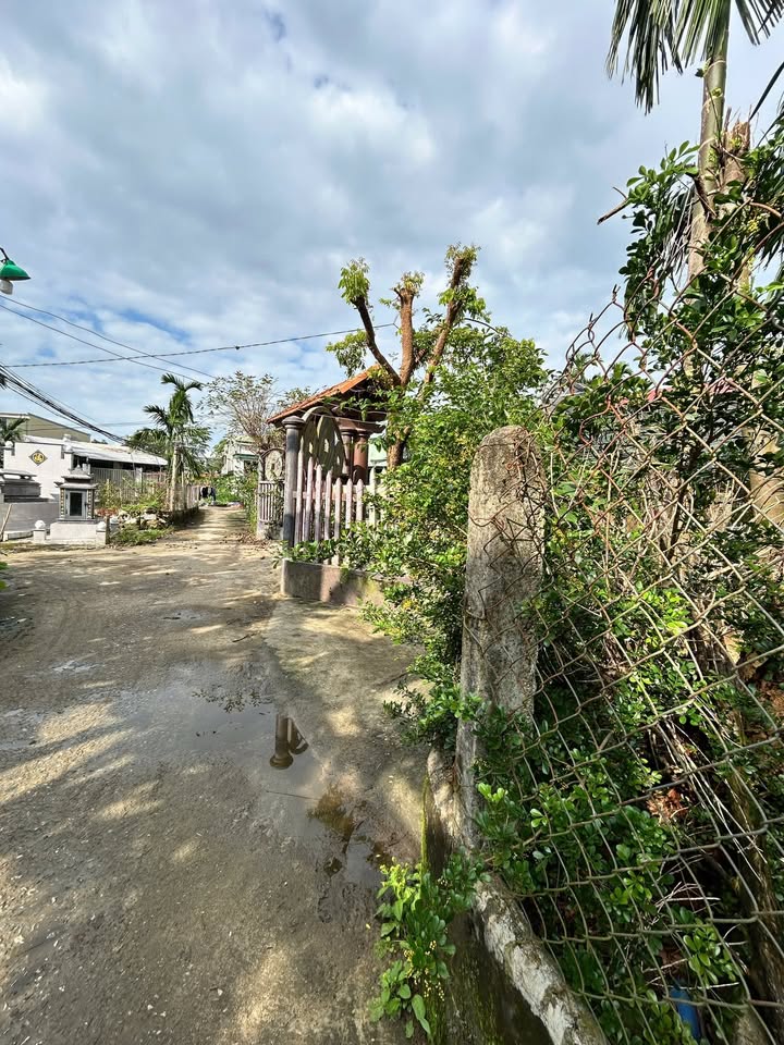 Đất Nghĩa Kỳ Tư Nghĩa 141m² giá 580 triệu - Vị trí đẹp, sổ hồng riêng!