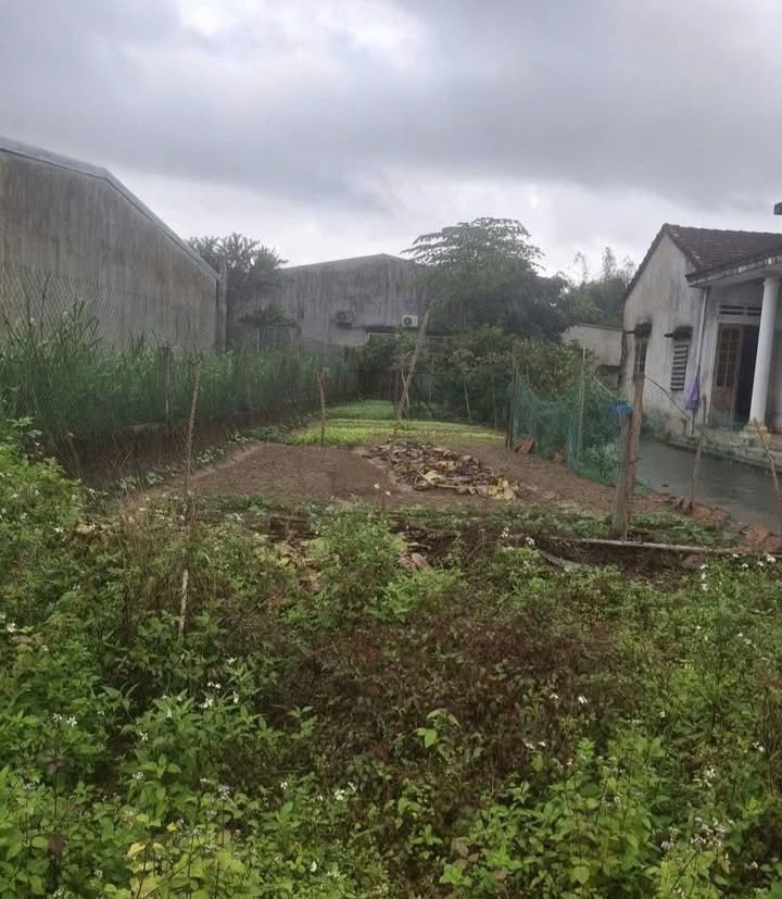 Đất nền Quảng Ngãi 160m² giá thỏa thuận - Đường ô tô, hướng Đông