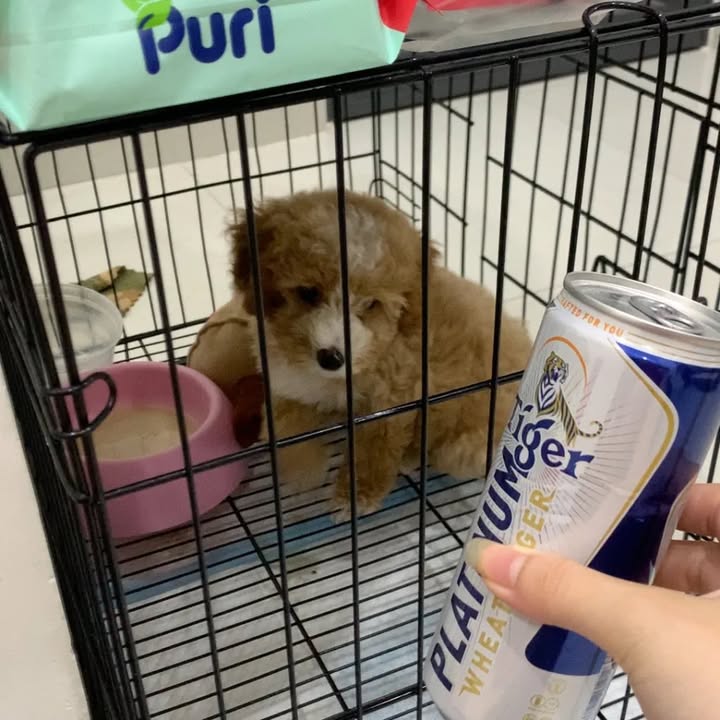 Căn hộ cho thuê Cách Mạng Tháng 8, Tân Bình 2.7 triệu - Chỉ còn 1 slot cuối!