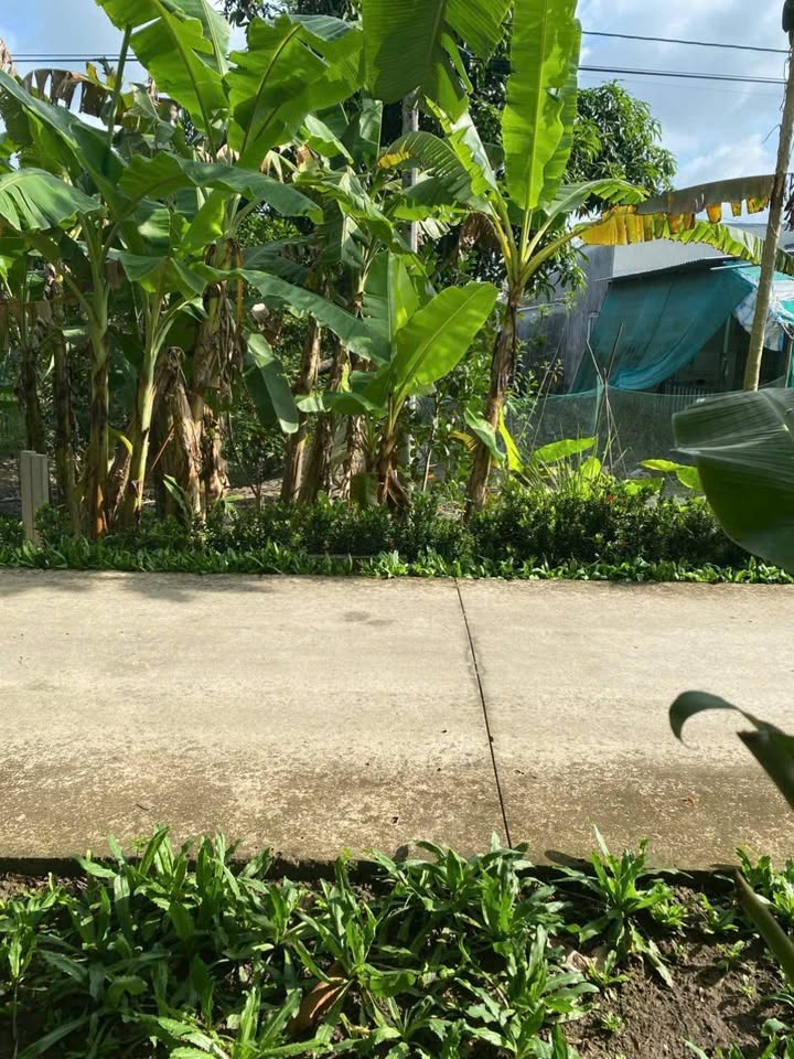 Đất nền đường Kênh Đào, phường Đại Thành 160m² giá 350 triệu - Cơ hội đầu tư hấp dẫn!