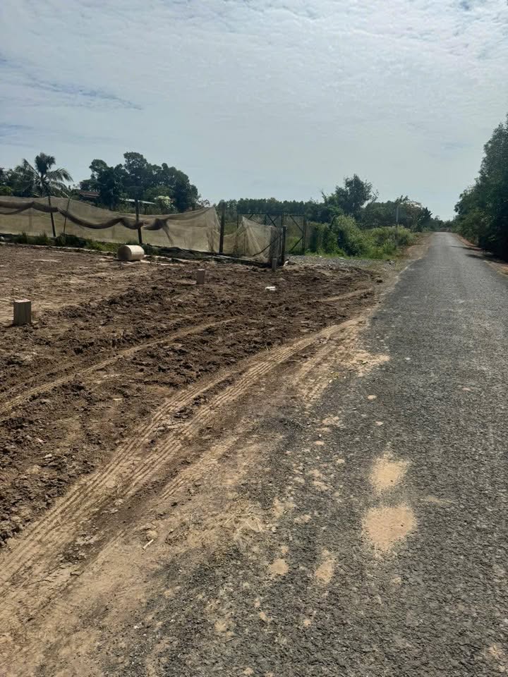 Đất mặt tiền đường nhựa Châu Thành Tây Ninh 100m² - Cơ hội đầu tư hấp dẫn!