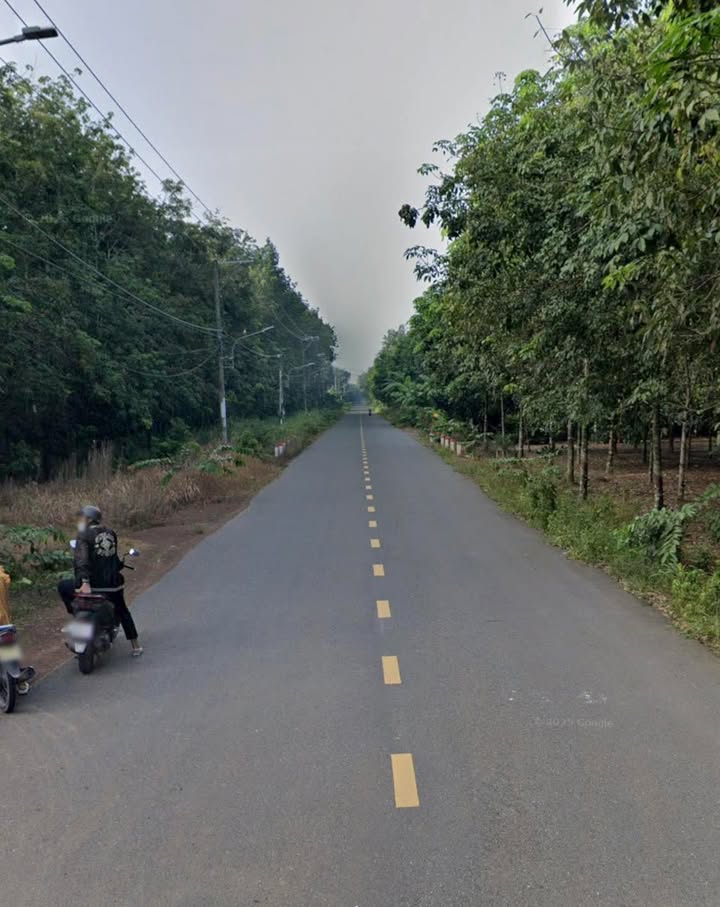 Đất nền Bàu Bàng 10.000m² giá 12 tỷ - Cơ hội đầu tư hấp dẫn!