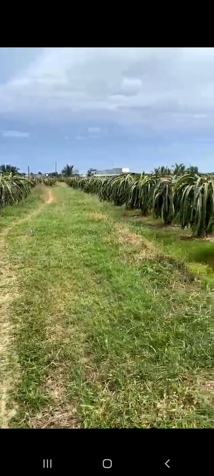 Đất nền Phường Bình Thuận 5580m² giá 449.55 triệu - Đầu tư sinh lời ngay!