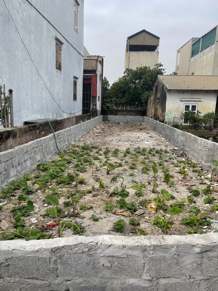 Đất nền Vân Tảo Thường Tín 89m² giá 5.2 tỷ - Đầu tư sinh lời cao!