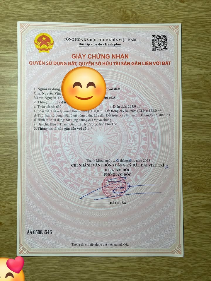 Đất thổ cư 223m² tại Khu 7, Phường Hy Cương - Cơ hội đầu tư sinh lời hấp dẫn!