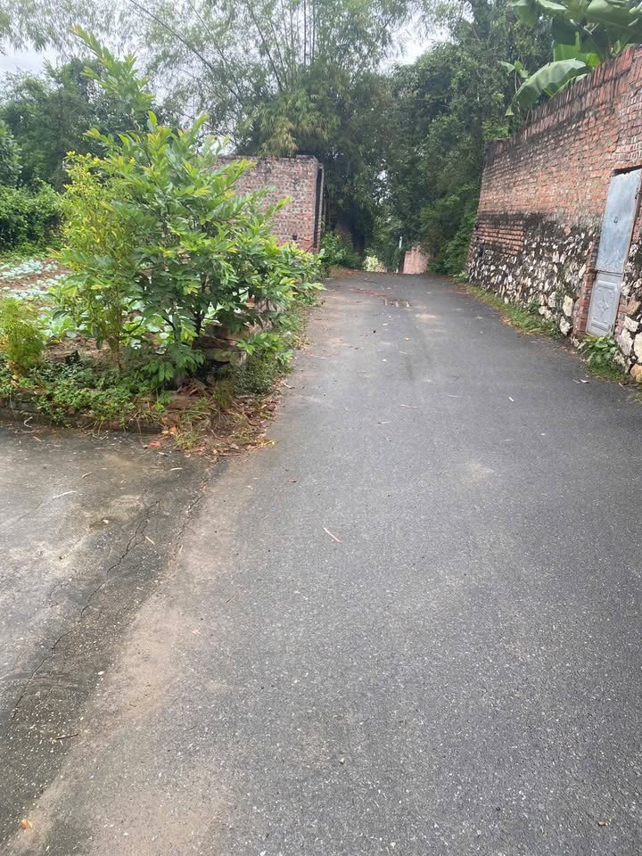 Đất thổ cư 200m² phường Hạp Lĩnh - Giá chỉ 3 tỷ, ô tô tải vào tận nơi!