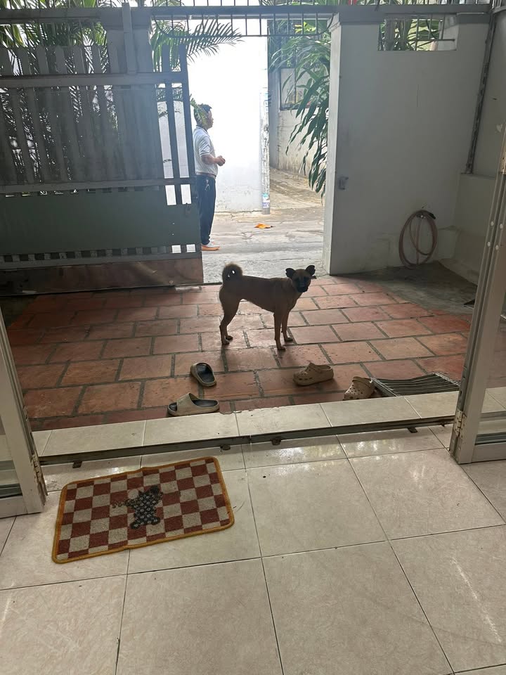 Nhà hẻm Nguyễn Khuyến Nha Trang 90m² giá 2.25 tỷ - Đất nở hậu, không gian rộng rãi!