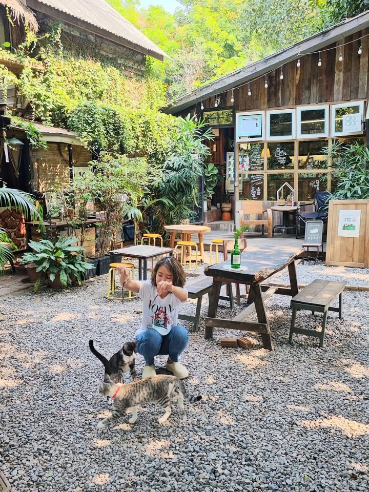 Cho thuê nhà sân vườn Gò Vấp 600m² - Vị trí đắc địa, thuận lợi kinh doanh!