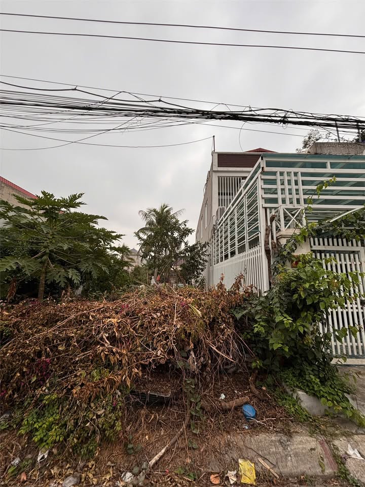 Đất trục chính Công viên Hải Thành 177m² giá chỉ 20 triệu/m² - Cơ hội đầu tư hiếm có!