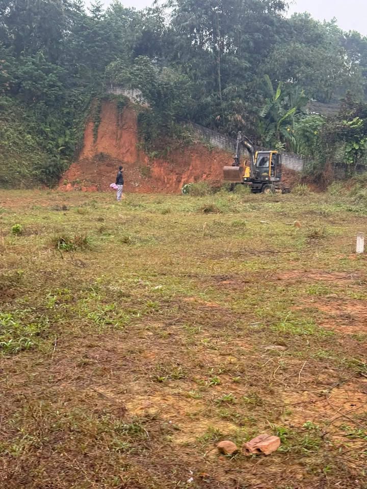 Đất nền thổ cư xã Thục Luyện 240m² - Cơ hội đầu tư hấp dẫn!