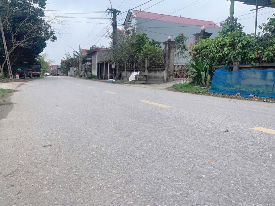 Đất liền kề Phường Tự Lạn, Việt Yên 104m² giá chỉ 1.5 tỷ - Đầu tư kinh doanh sinh lời!