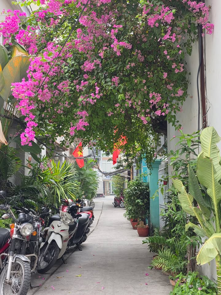 Nhà bán Quận 10, gần Big C Tô Hiến Thành, 68m² giá 6.6 tỷ - Đầu tư lợi nhuận cao!