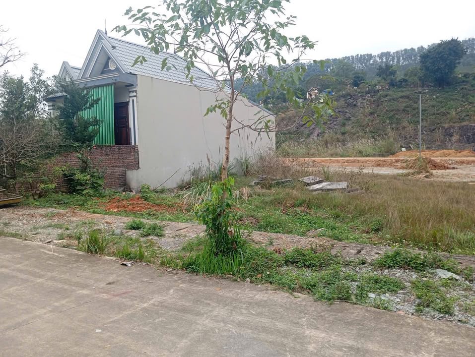 Đất nền Tân Bình, Tam Điệp 200m² giá 1 tỷ - Cơ hội đầu tư hấp dẫn!