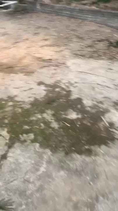 Đất 2000m² tại thôn 5, Gia Lâm, Nho Quan - Giá chỉ 244 triệu, sẵn nhà nhỏ!