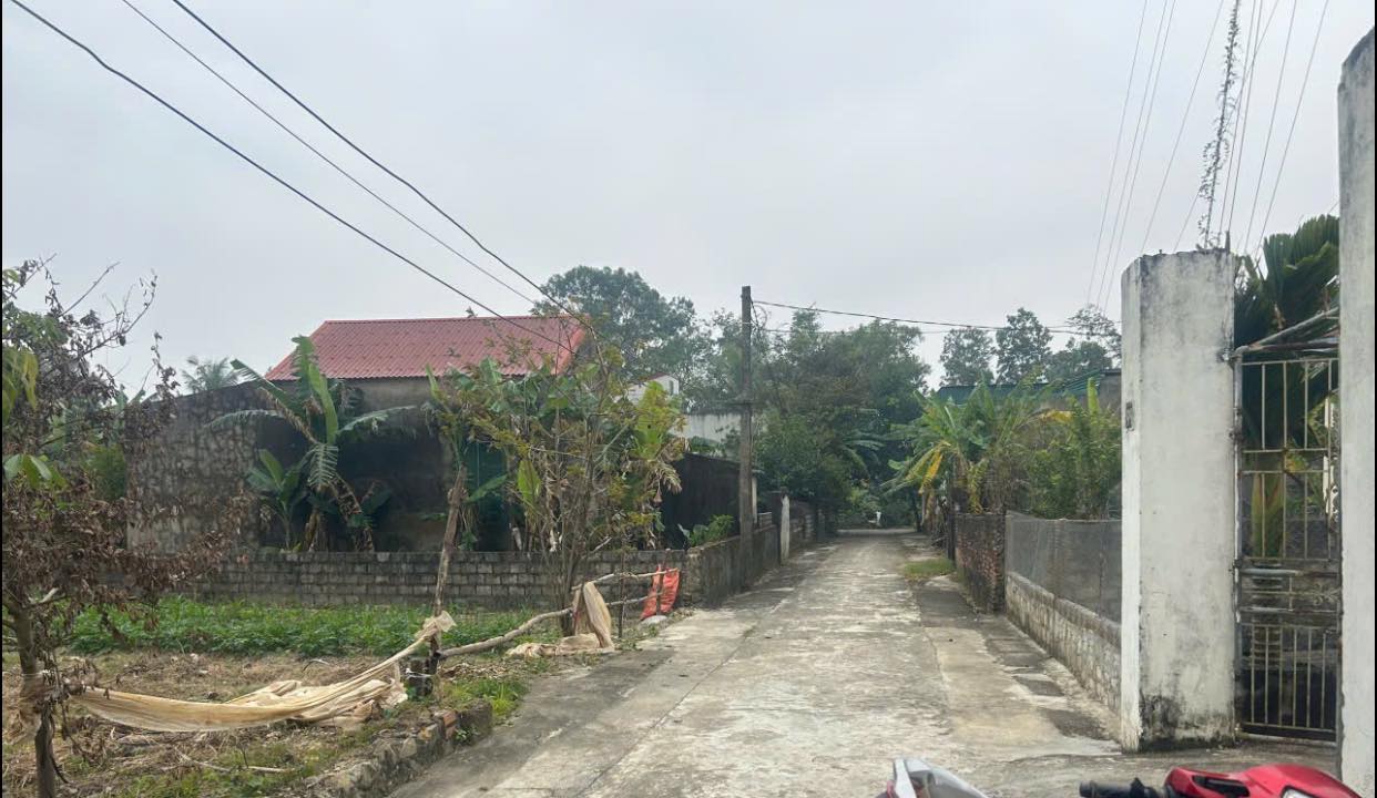 Đất nền Tế Lợi 130m² giá chỉ 2xx triệu - Đầu tư sinh lời ngay hôm nay!