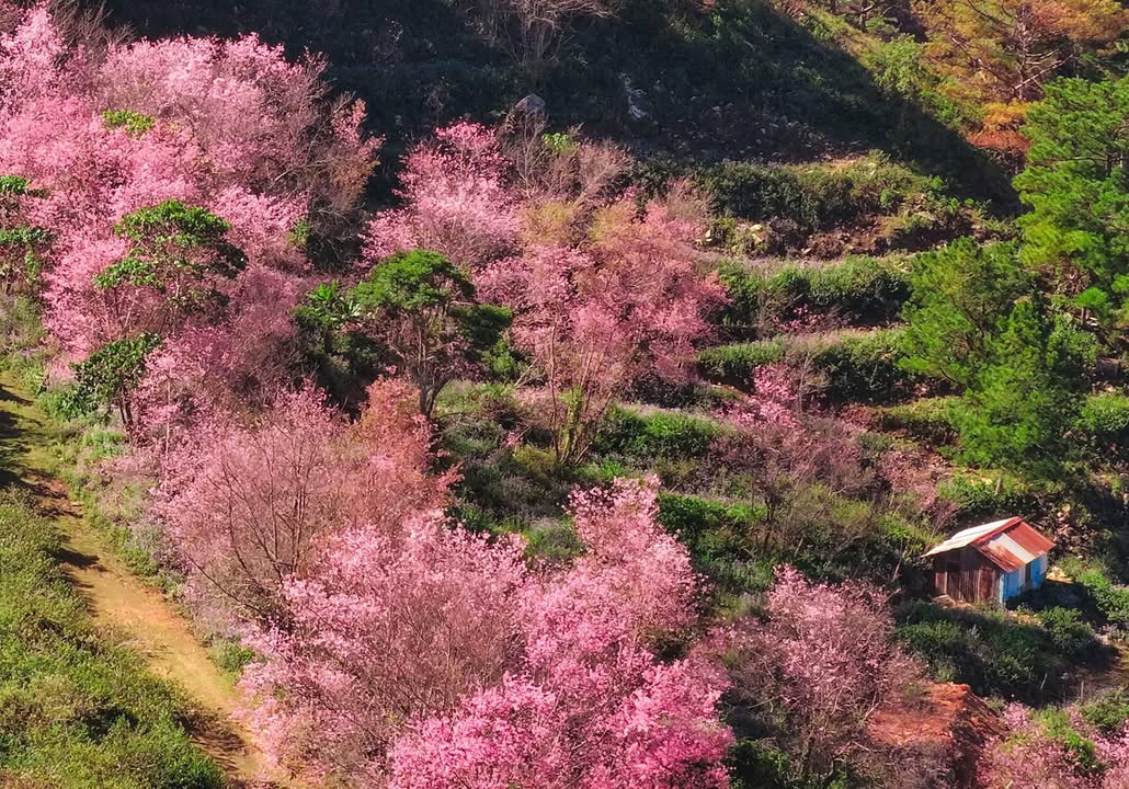 Nhà riêng Lạc Dương 100m² giá 3.45 tỷ - Chính chủ bán gấp!