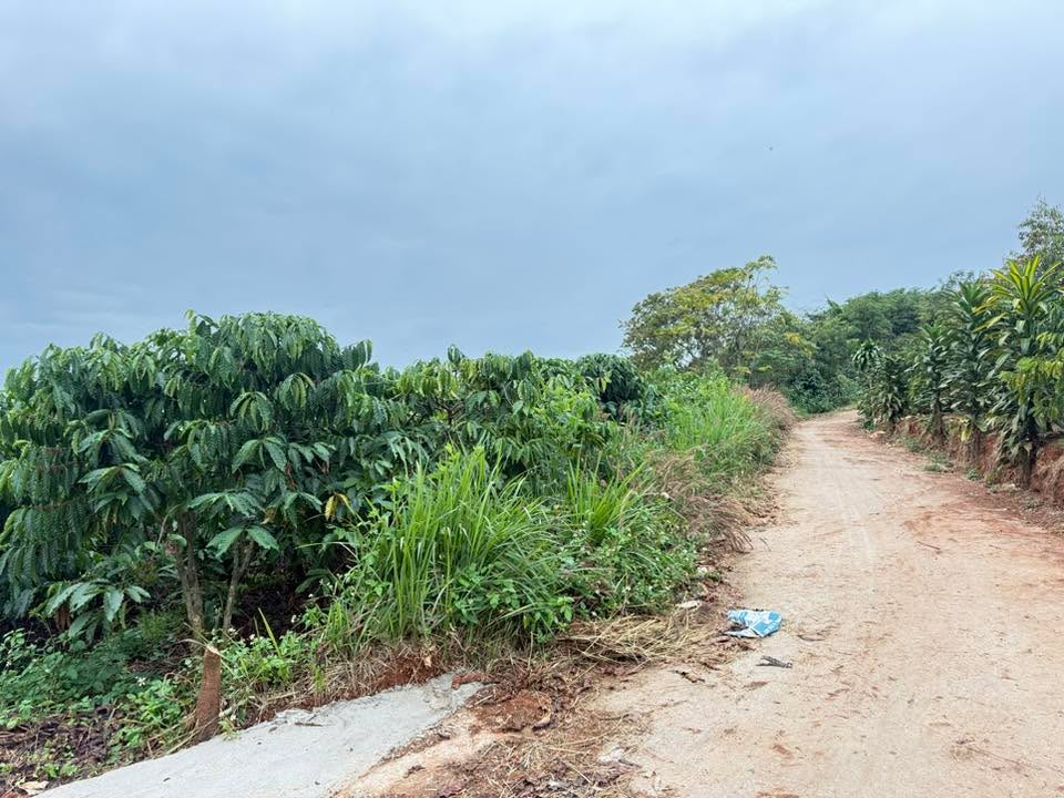 Đất nền 3.800m² tại Đan Phượng - Giá chỉ 2.1 tỷ, cơ hội đầu tư tuyệt vời!