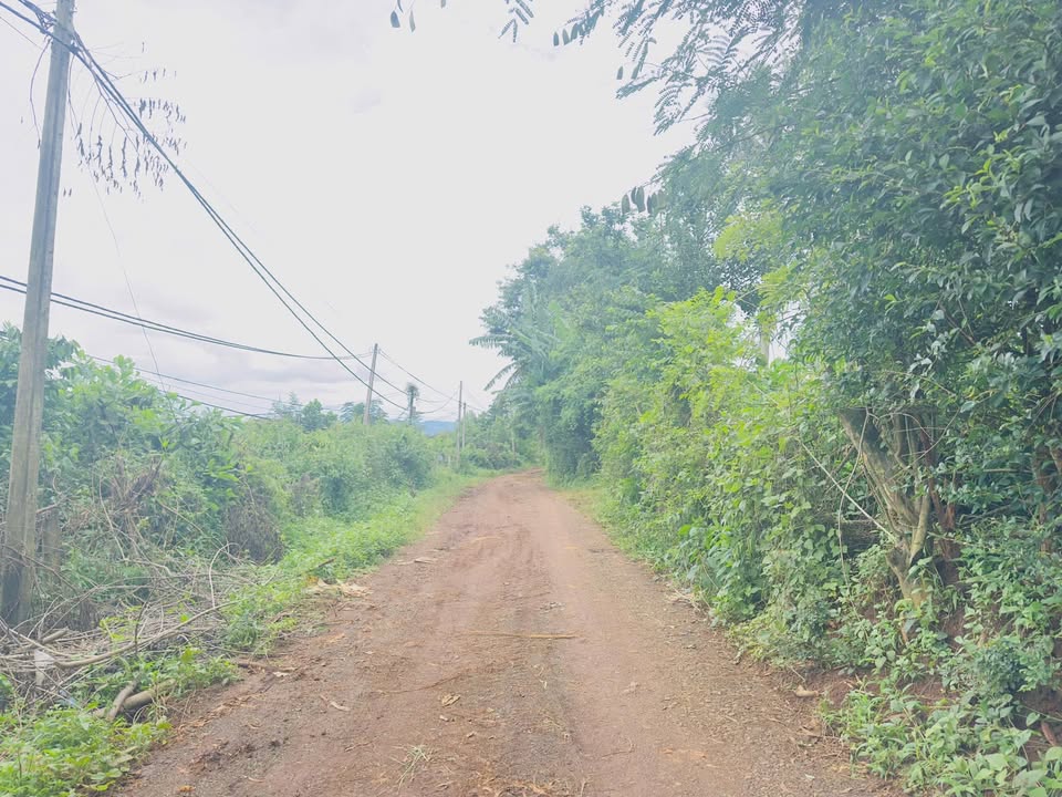 Đất nông nghiệp Hòa Thắng Buôn Ma Thuột 2700m² chỉ 2.1 tỷ - Đầu tư sinh lời hấp dẫn!