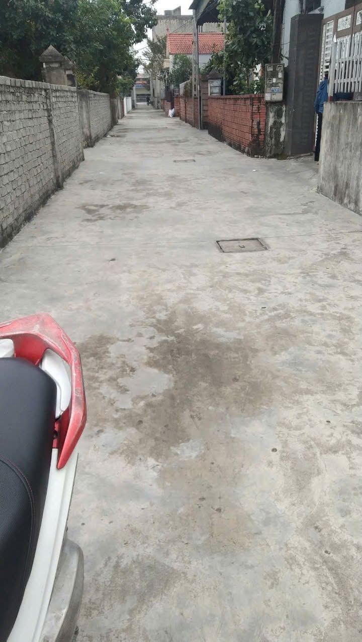 Đất thổ cư xã Quỳnh Giang, huyện Quỳnh Lưu 150m² giá 1 tỷ - Đầu tư sinh lời hấp dẫn!