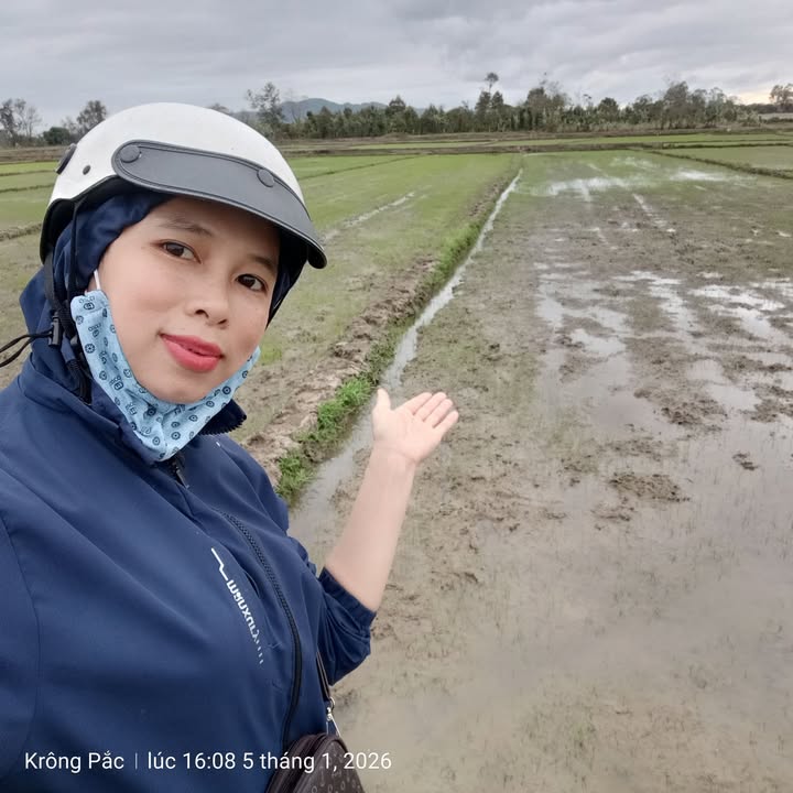 Đất nền Tân Tiến Krông Pắc 1,7 sào giá 100 triệu - Mặt tiền đường bê tông rộng rãi!