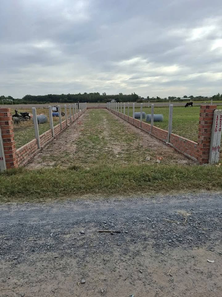 Đất thổ cư tại xã Long Chữ, Bến Cầu, Tây Ninh 230m² giá chỉ 330 triệu - Đầu tư sinh lời ngay!