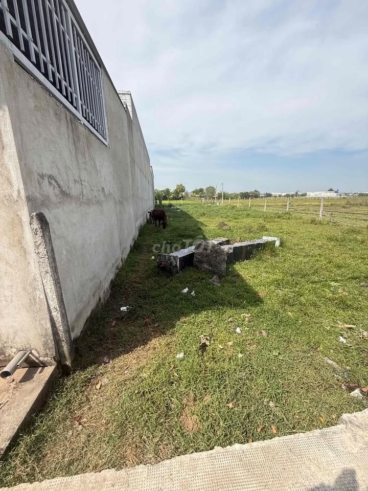 Đất nền 120m² huyện Cần Giuộc - Giá chỉ 880 triệu, cơ hội đầu tư tuyệt vời!