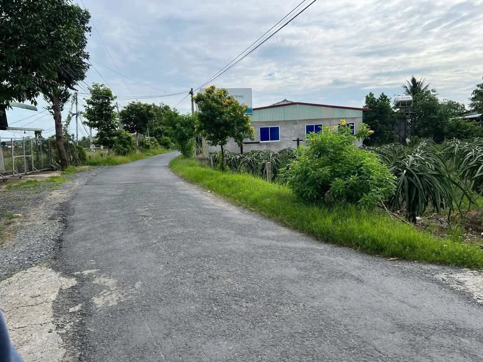 Đất nền 1.400m² xã Tầm Vu, Châu Thành, Tây Ninh - Giá chỉ 1.85 tỷ!