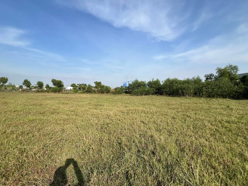 Đất ở Mỹ Hạnh Bắc, Đức Hòa 20.000m² - Sổ đỏ đầy đủ, giá thỏa thuận!