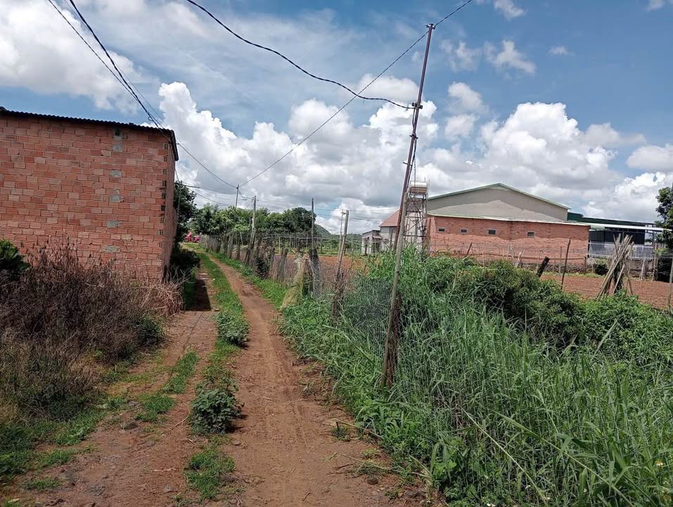 Đất nền Tân Hội, Đức Trọng 300m² giá 850 triệu - Cơ hội đầu tư không thể bỏ lỡ!