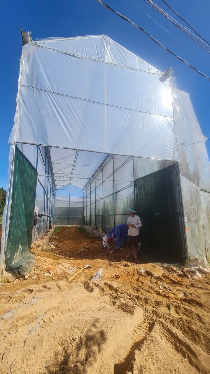 Đất liền kề Cù Chính Lan Đà Lạt 100m² giá 1.2 tỷ - Đầu tư hấp dẫn!