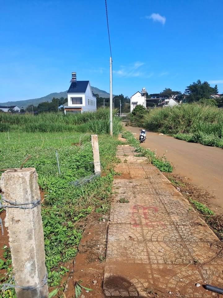 Đất nền Liên Hiệp, Đức Trọng 125m² giá 1.16 tỷ - Sổ hồng riêng, đầu tư lý tưởng!