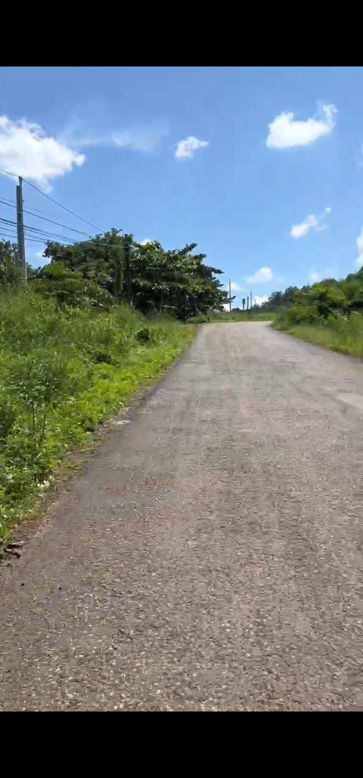 Đất mặt tiền đường DH Tân Hoà, Tân Tiến 13m² giá chỉ 2 tỷ - Cơ hội đầu tư hấp dẫn!