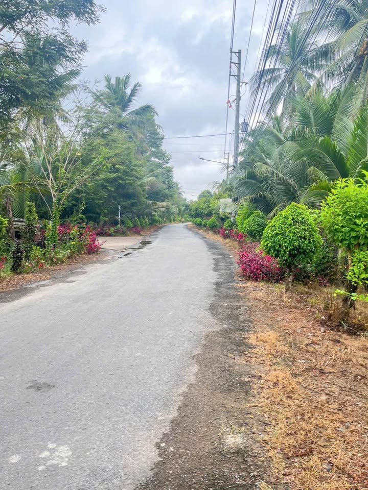 Đất nền Châu Hòa Giồng Trôm 500m² giá tốt - Đầu tư sinh lời ngay!